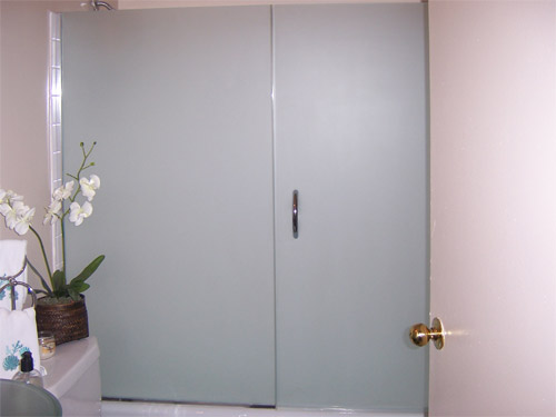 Frosted and Frameless Shower Unit